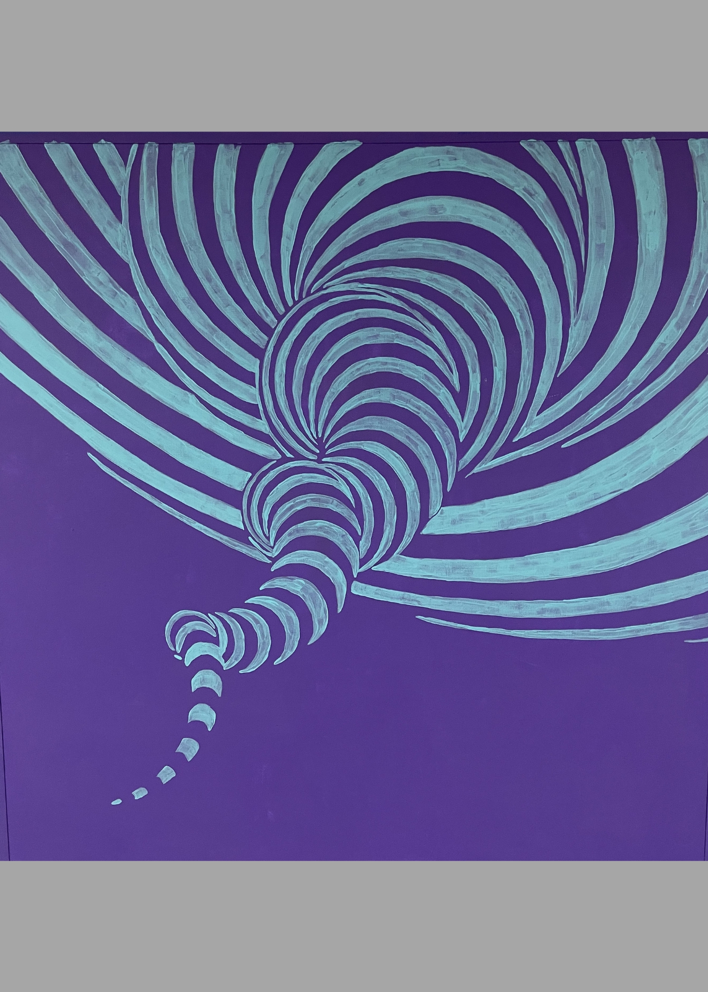 Monochromatic and Duochromatic Visuals